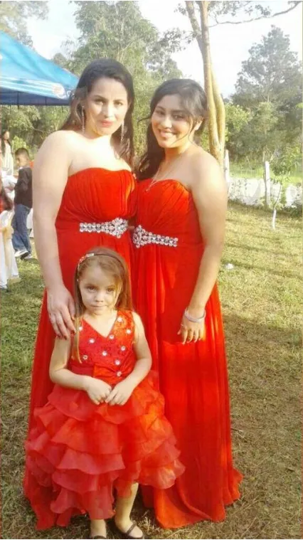 Toddler Ruffles Lace Party Wedding Dresses